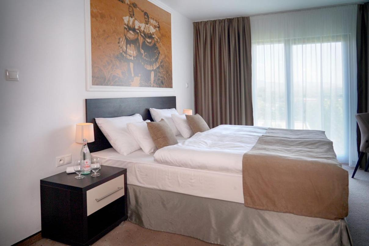 Hotel Mousson Nagymihály Kültér fotó
